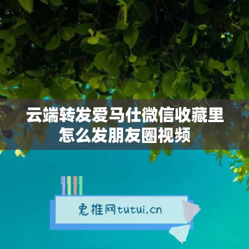 云端转发爱马仕微信收藏里怎么发朋友圈视频