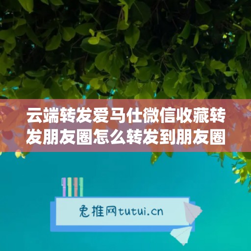 云端转发爱马仕微信收藏转发朋友圈怎么转发到朋友圈上(爱马仕微信转发软件)