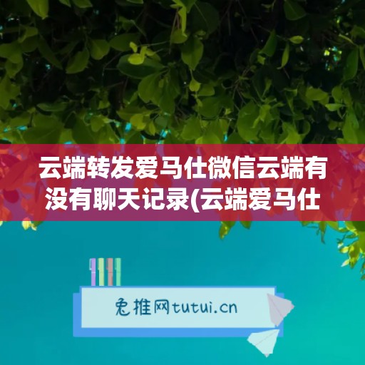 云端转发爱马仕微信云端有没有聊天记录(云端爱马仕教程)