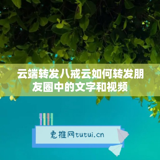 云端转发八戒云如何转发朋友圈中的文字和视频