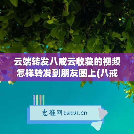 云端转发八戒云收藏的视频怎样转发到朋友圈上(八戒云矿)