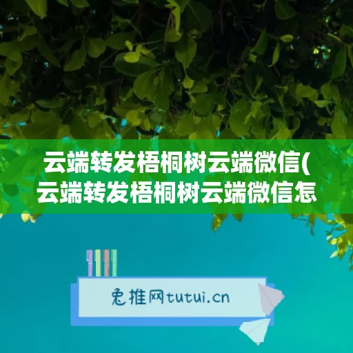 云端转发梧桐树云端微信(云端转发梧桐树云端微信怎么弄)