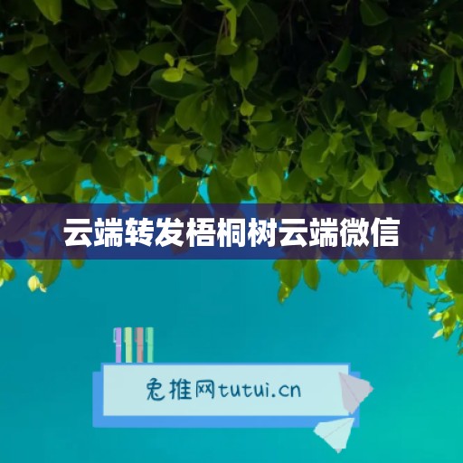 云端转发梧桐树云端微信