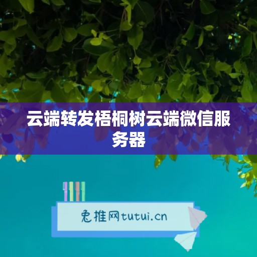 云端转发梧桐树云端微信服务器