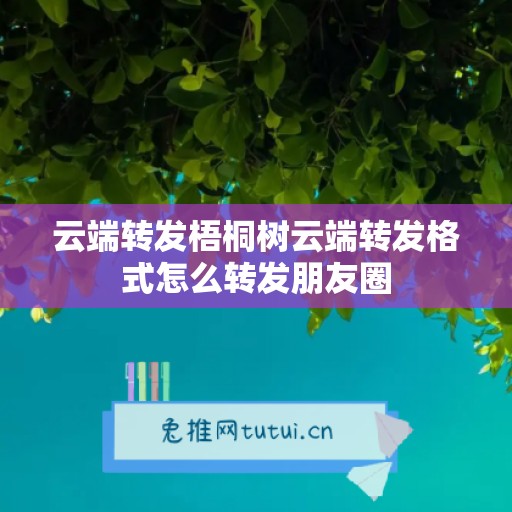 云端转发梧桐树云端转发格式怎么转发朋友圈