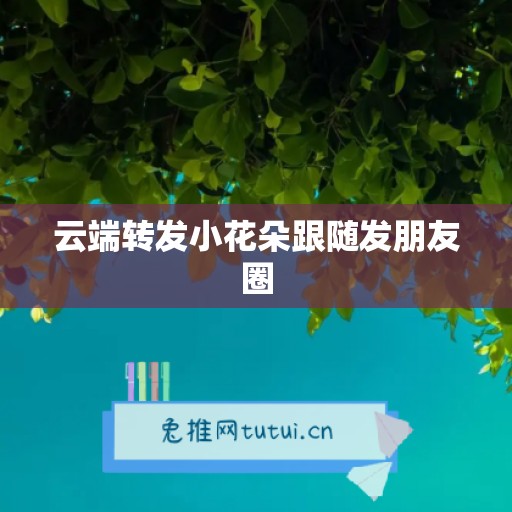 云端转发小花朵跟随发朋友圈