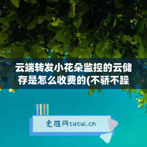 云端转发小花朵监控的云储存是怎么收费的(不骄不躁谨言慎行)