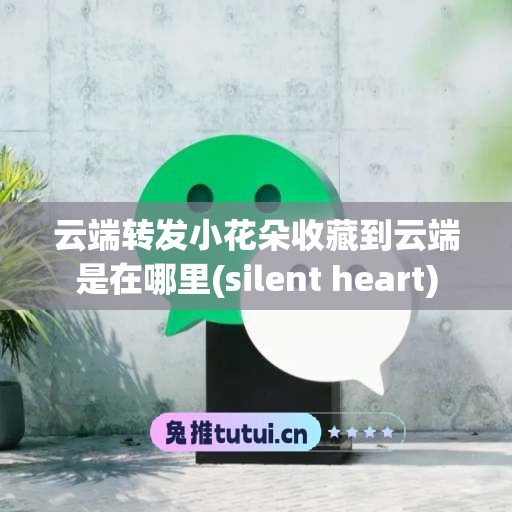 云端转发小花朵收藏到云端是在哪里(silent heart)