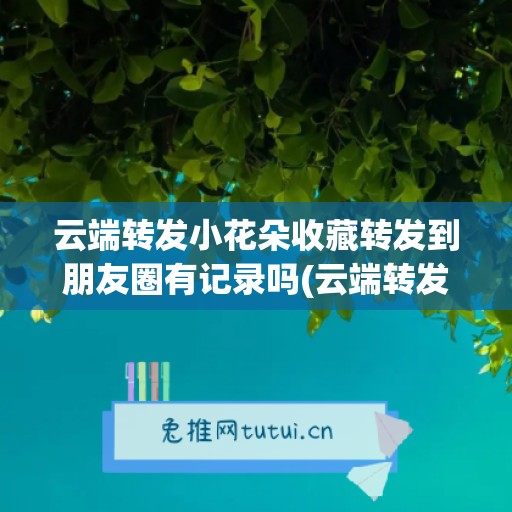 云端转发小花朵收藏转发到朋友圈有记录吗(云端转发小助手下载地址)