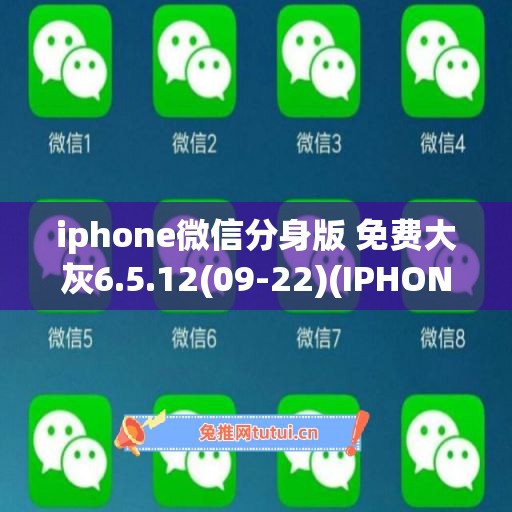 iphone微信分身版 免费大灰6.5.12(09-22)(IPHONE微信分身)
