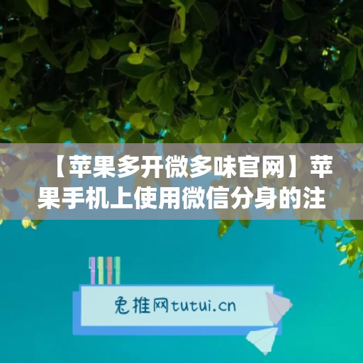 【苹果多开微多味官网】苹果手机上使用微信分身的注意事项(苹果手机多开微信官方)