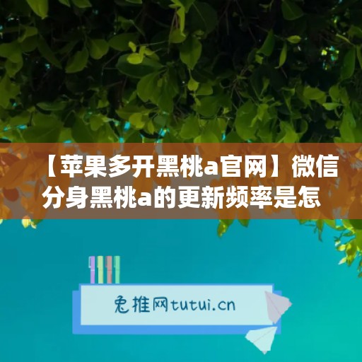 【苹果多开黑桃a官网】微信分身黑桃a的更新频率是怎样的？(黑桃a分为几种)