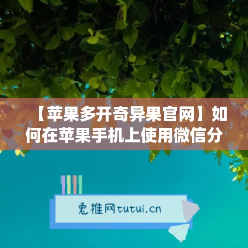 【苹果多开奇异果官网】如何在苹果手机上使用微信分身功能(奇异果苹果手机版)