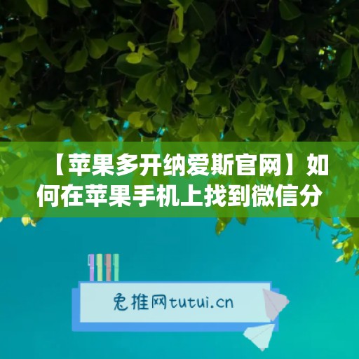 【苹果多开纳爱斯官网】如何在苹果手机上找到微信分身功能？(苹果哪里开微信分身)