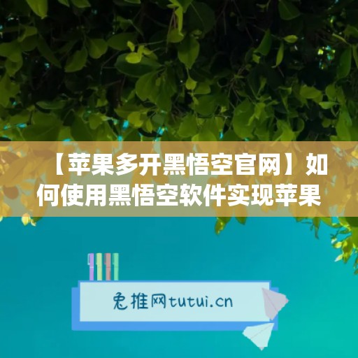 【苹果多开黑悟空官网】如何使用黑悟空软件实现苹果微信多开(ios悟空多开分身)