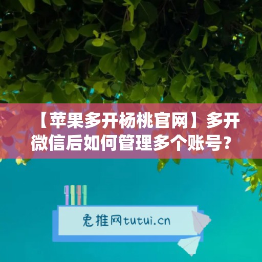 【苹果多开杨桃官网】多开微信后如何管理多个账号？(苹果多开微信会不会封号)