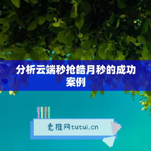 分析云端秒抢皓月秒的成功案例