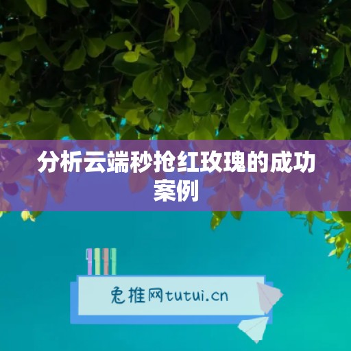 分析云端秒抢红玫瑰的成功案例