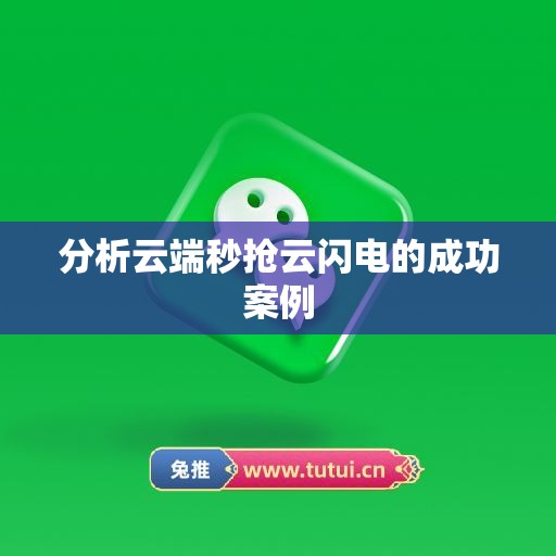 分析云端秒抢云闪电的成功案例