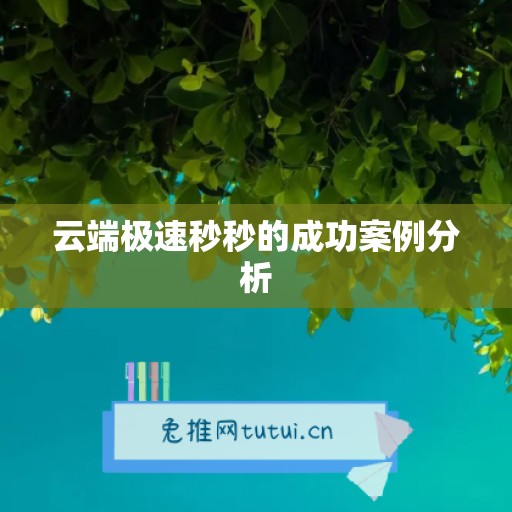 云端极速秒秒的成功案例分析