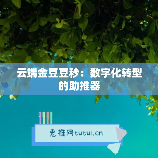 云端金豆豆秒：数字化转型的助推器