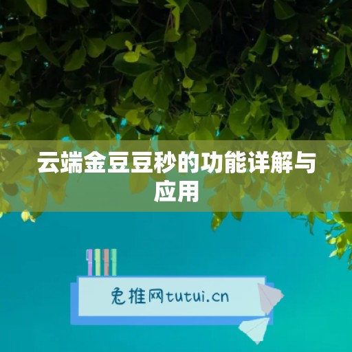 云端金豆豆秒的功能详解与应用