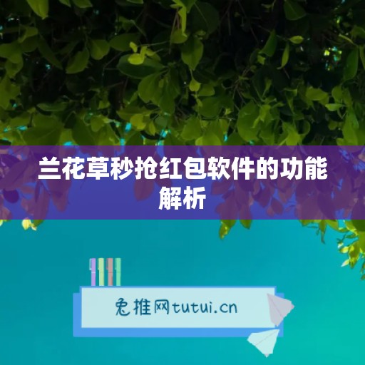 兰花草秒抢红包软件的功能解析