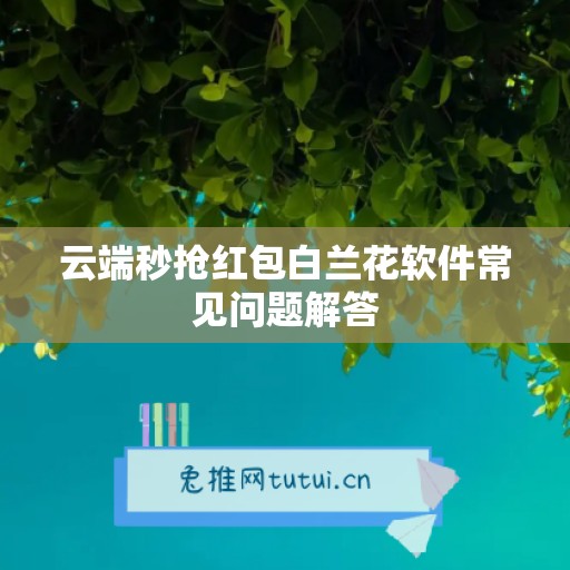 云端秒抢红包白兰花软件常见问题解答