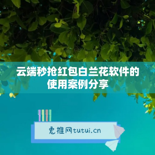 云端秒抢红包白兰花软件的使用案例分享