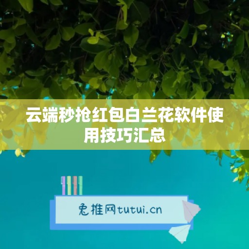 云端秒抢红包白兰花软件使用技巧汇总