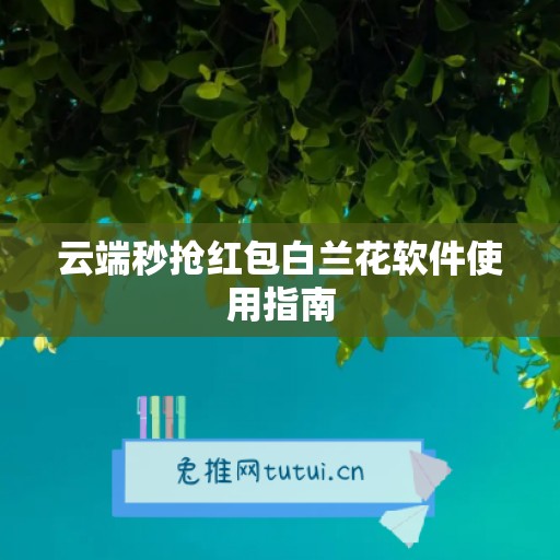 云端秒抢红包白兰花软件使用指南