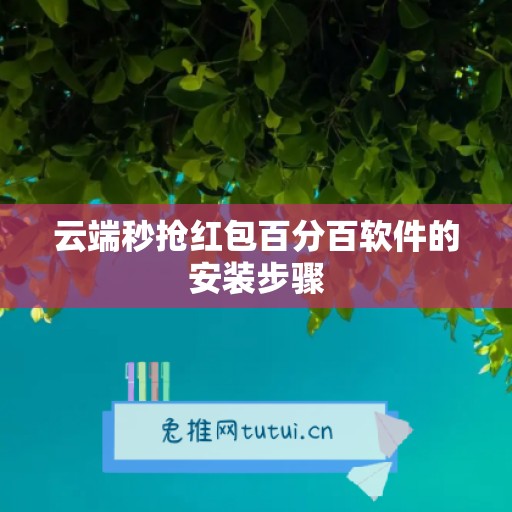 云端秒抢红包百分百软件的安装步骤