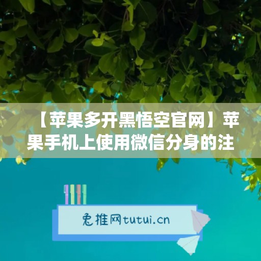 【苹果多开黑悟空官网】苹果手机上使用微信分身的注意事项(悟空多开分身微信会封号吗)