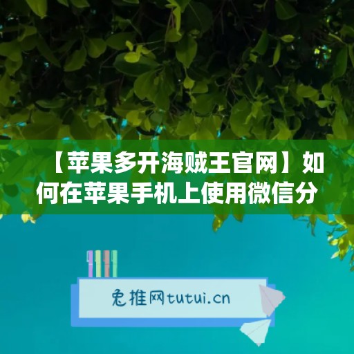 【苹果多开海贼王官网】如何在苹果手机上使用微信分身功能(航海王苹果怎么用)