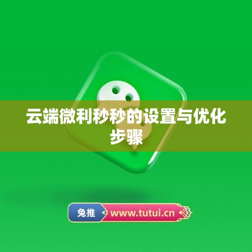 云端微利秒秒的设置与优化步骤