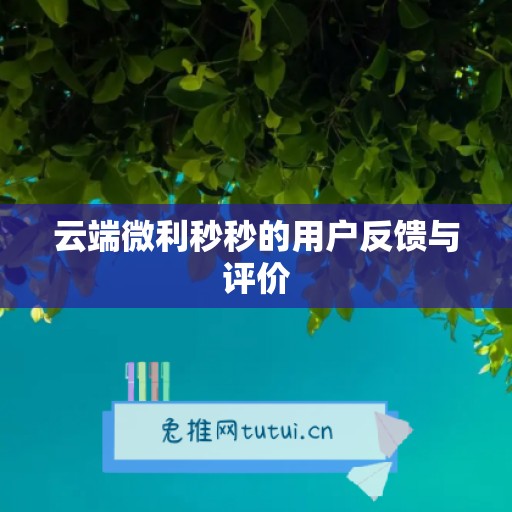 云端微利秒秒的用户反馈与评价