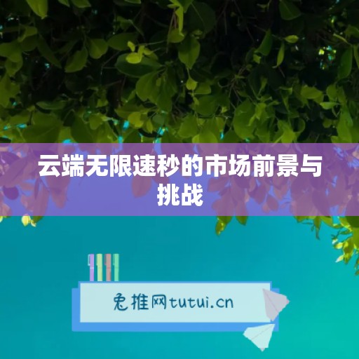 云端无限速秒的市场前景与挑战