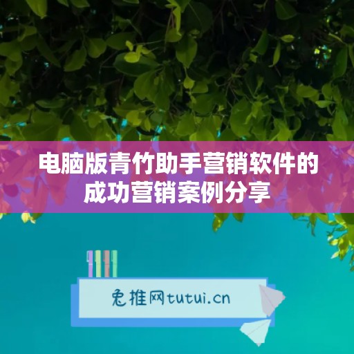 电脑版青竹助手营销软件的成功营销案例分享