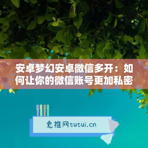 安卓梦幻安卓微信多开：如何让你的微信账号更加私密、便捷与高效运行