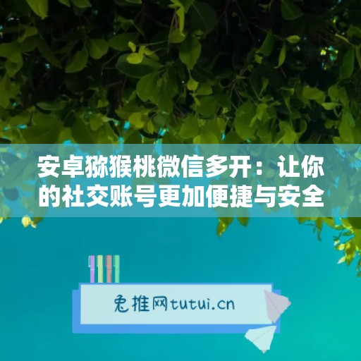 安卓猕猴桃微信多开：让你的社交账号更加便捷与安全