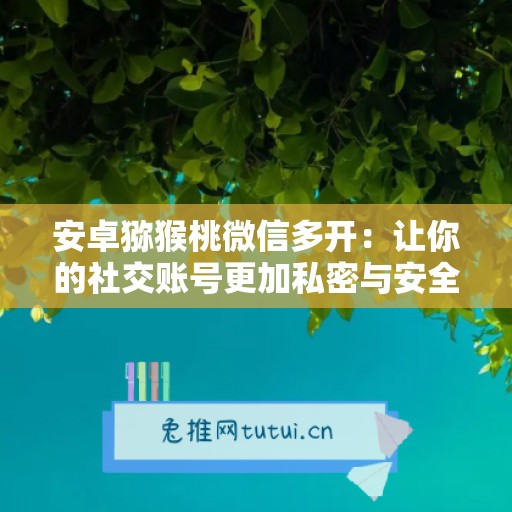 安卓猕猴桃微信多开：让你的社交账号更加私密与安全