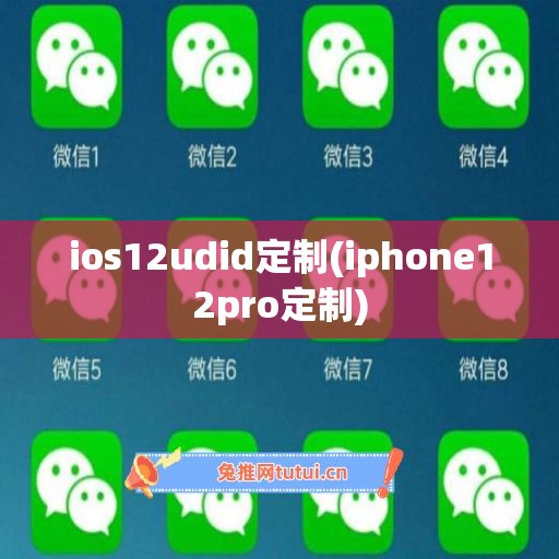 ios12udid定制(iphone12pro定制)