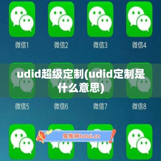 udid超级定制(udid定制是什么意思)