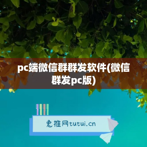 pc端微信群群发软件(微信群发pc版)