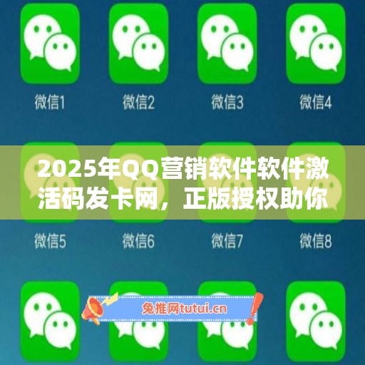 2025年QQ营销软件软件激活码发卡网，正版授权助你事业腾飞！