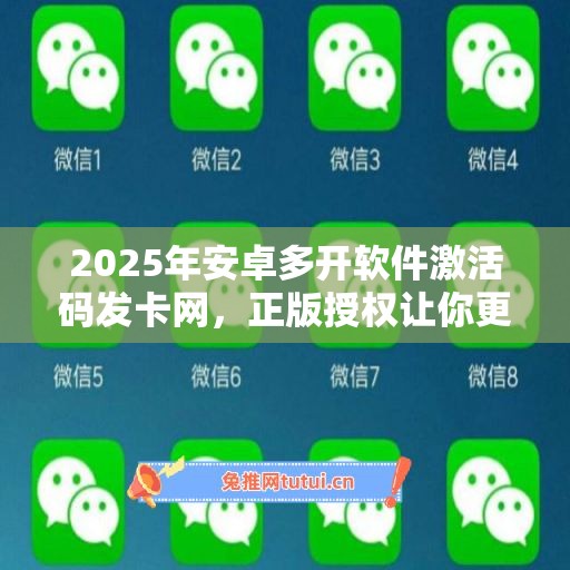 2025年安卓多开软件激活码发卡网，正版授权让你更自信！