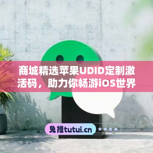 商城精选苹果UDID定制激活码，助力你畅游iOS世界