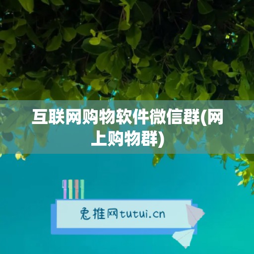 互联网购物软件微信群(网上购物群)