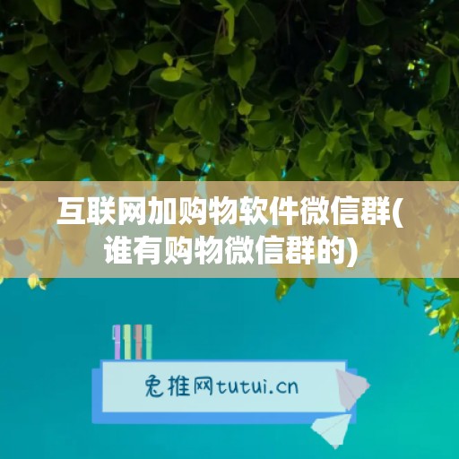 互联网加购物软件微信群(谁有购物微信群的)