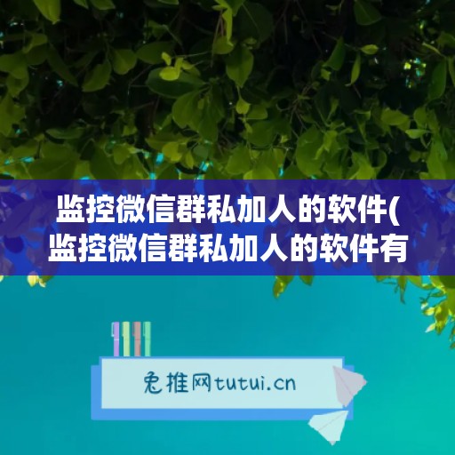 监控微信群私加人的软件(监控微信群私加人的软件有哪些)